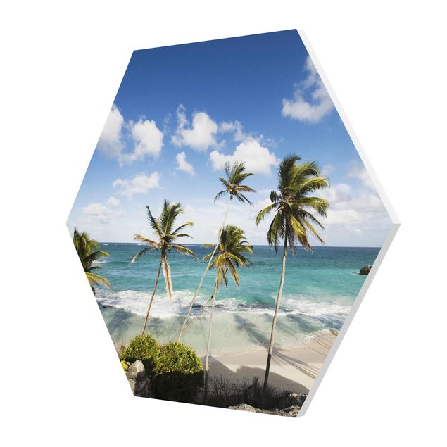 Hexagons Forex schilderijen Beach Of Barbados