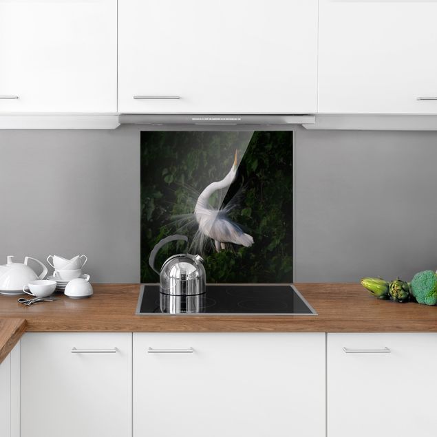 Spatscherm keuken Dancing Egrets In Front Of Black