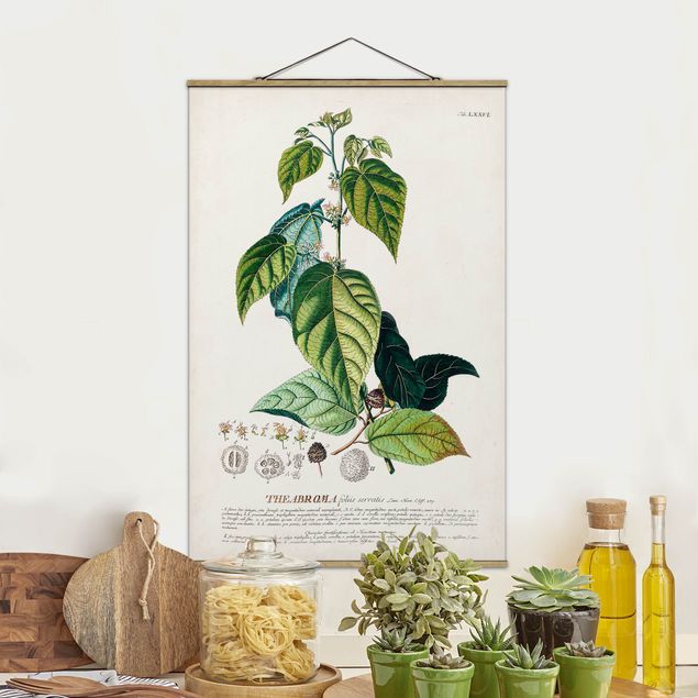 Stoffen schilderij met posterlijst Vintage Botanical Illustration Cocoa