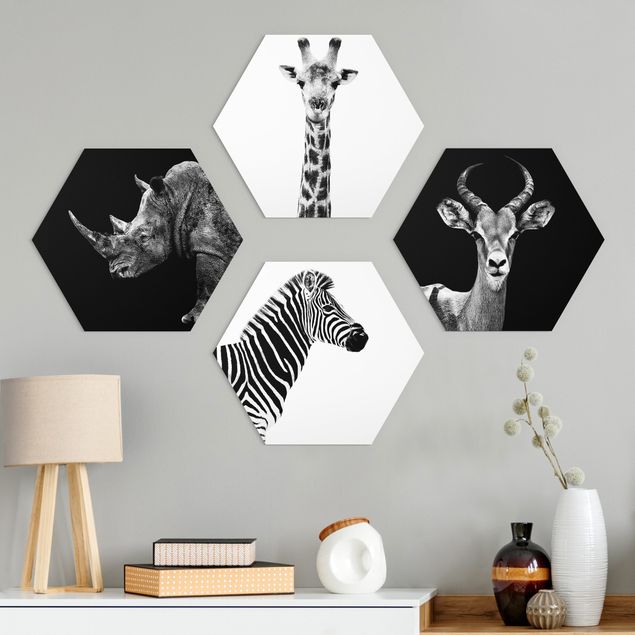 Hexagons Aluminium Dibond schilderijen - 4-delig Safari Quartet