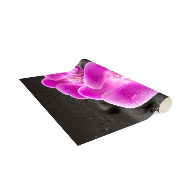 Vloerkleden spiritueel Pink Orchid Flower On Stones With Drops