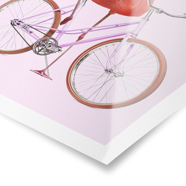 Posters Flamingo With Bicycle