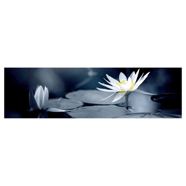 Keukenachterwanden Lotus Reflection In The Water