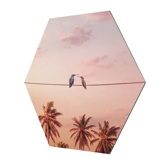 Hexagons Aluminium Dibond schilderijen Sunset With Hummingbird