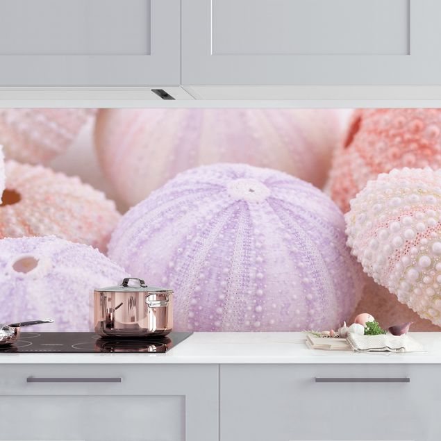 Achterwand voor keuken dieren Sea Urchin In Pastel