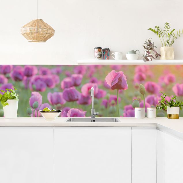 Achterwand in keuken Purple Poppy Flower Meadow In Spring