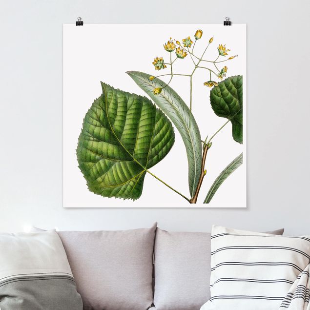 Posters Foliage With Flowers I