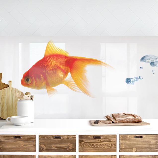 Achterwand voor keuken dieren Goldfish