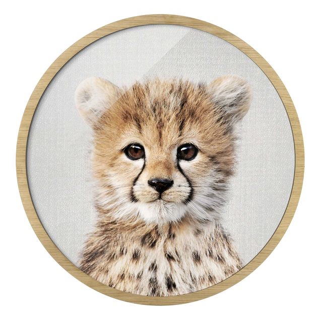 Rond schilderijen Baby Cheetah Gino