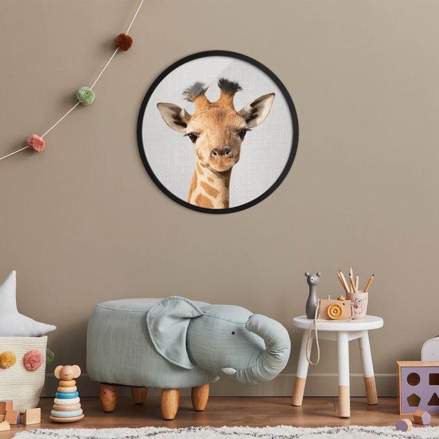 Rond schilderijen Baby Giraffe Gandalf