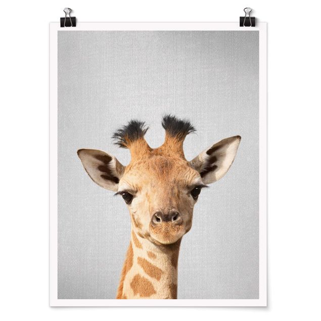 Poster - Baby Giraffe Gandalf - Hochformat 3:4