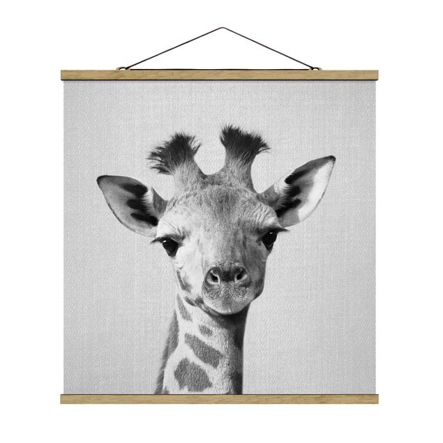 Stoffen schilderij met posterlijst - Baby Giraffe Gandalf Black And White