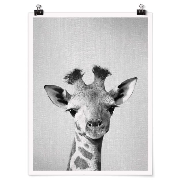 Poster - Baby Giraffe Gandalf Schwarz Weiß - Hochformat 3:4