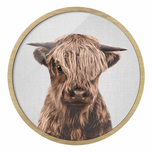Rond schilderijen Baby Highland Cow Henri