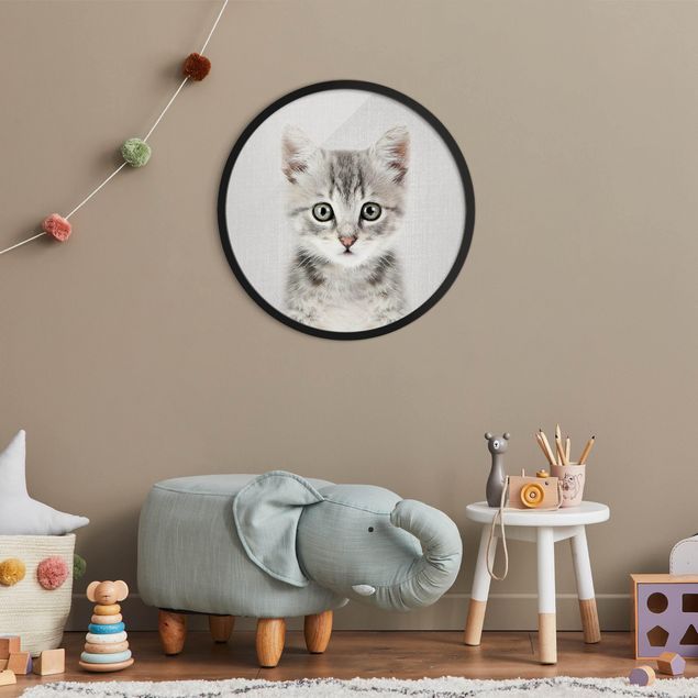 Rond schilderijen Baby Cat Killi