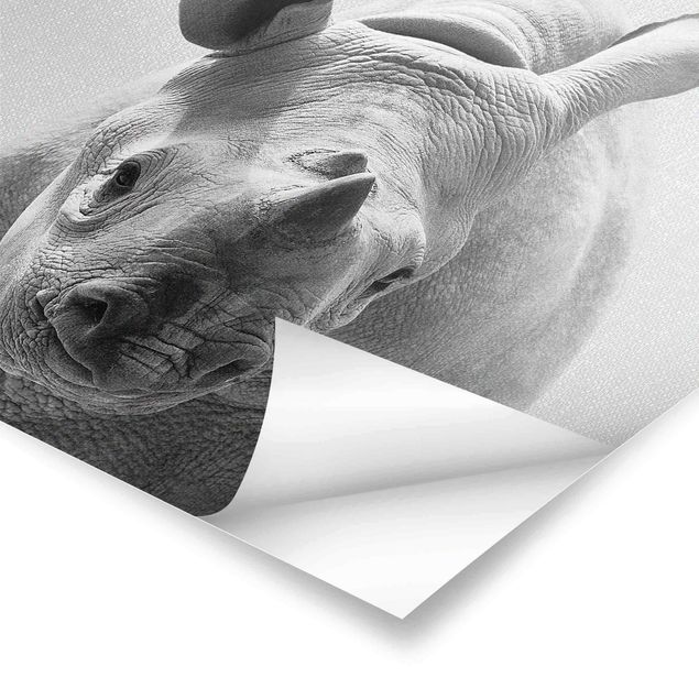 Poster - Baby Nashorn Nina Schwarz Weiß - Quadrat 1:1