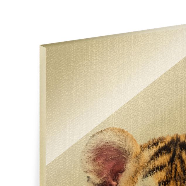 Glasschilderijen - Baby Tiger Thor