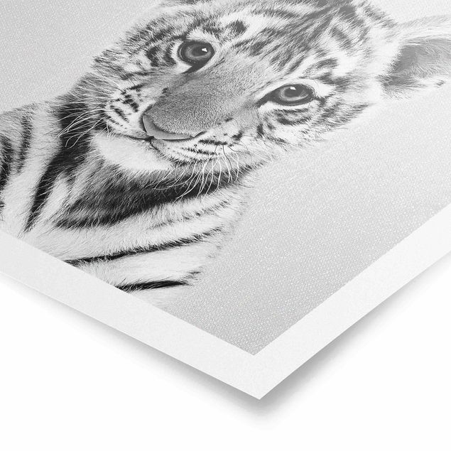 Poster - Baby Tiger Thor Schwarz Weiß - Quadrat 1:1