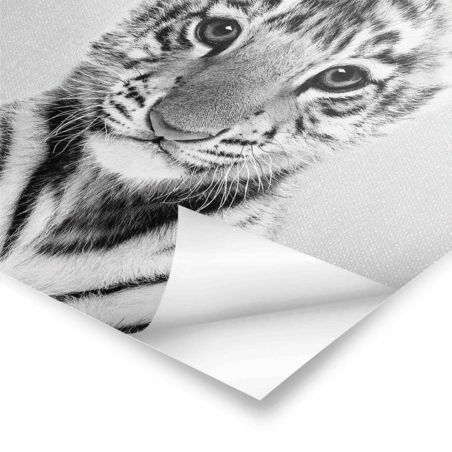 Poster - Baby Tiger Thor Schwarz Weiß - Hochformat 3:4