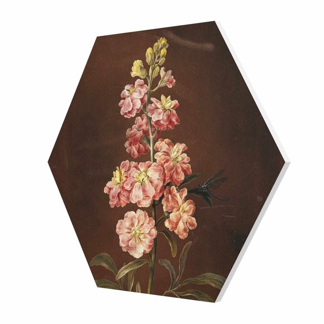 Hexagons Forex schilderijen - Barbara Regina Dietzsch - A Light Pink Gillyflower