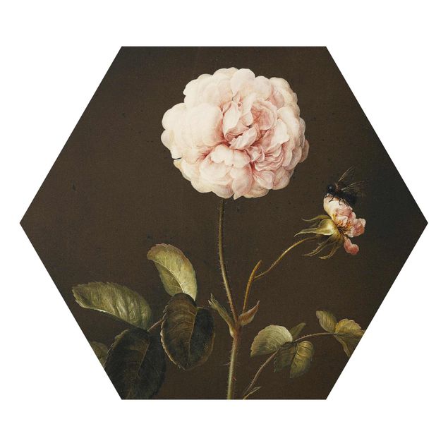 Hexagons Aluminium Dibond schilderijen - Barbara Regina Dietzsch - French Rose with Bumblebee