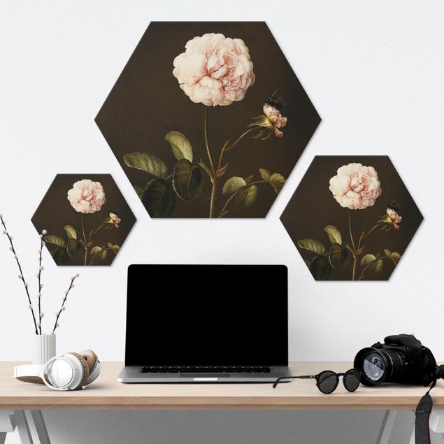 Hexagons Aluminium Dibond schilderijen - Barbara Regina Dietzsch - French Rose with Bumblebee