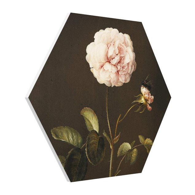 Hexagons Forex schilderijen - Barbara Regina Dietzsch - French Rose with Bumblebee