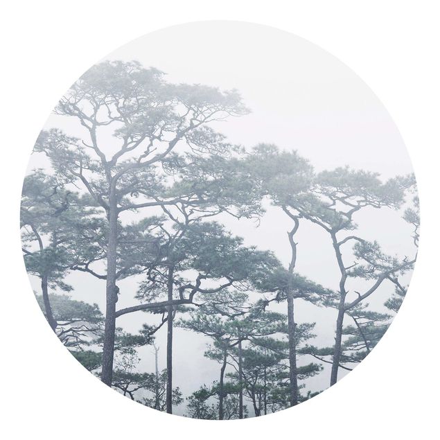 Behangcirkel Treetops In Fog