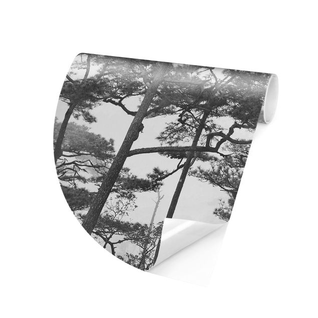 Behangcirkel Treetops In Fog Black And White
