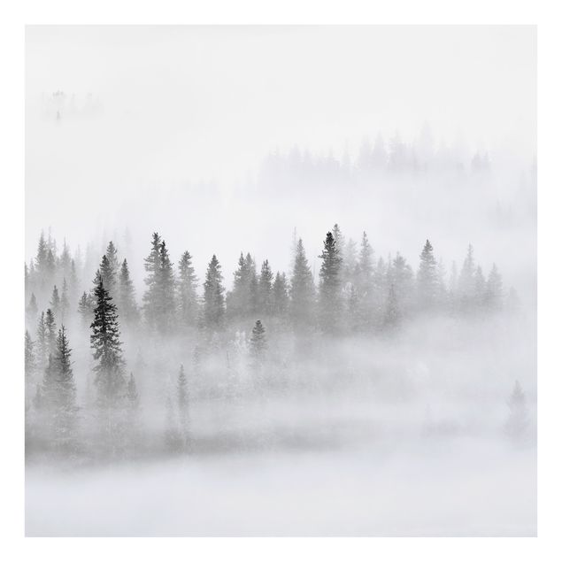 Spatscherm keuken Fog In The Fir Forest Black And White