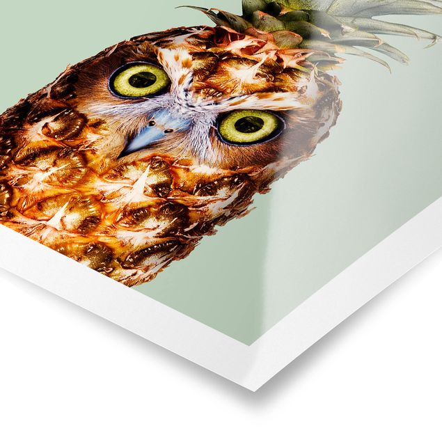 Posters Pineapple With Owl