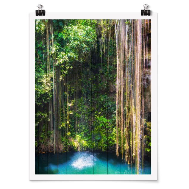 Posters Hanging Roots Of Ik-Kil Cenote