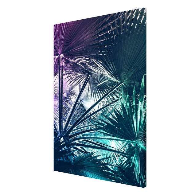 Magneetborden Tropical Plants Palm Leaf In Turquoise IIl