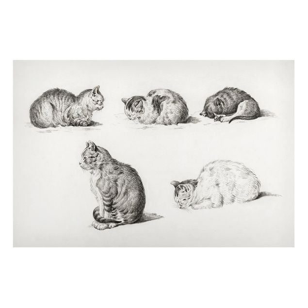 Magneetborden Vintage Drawing Cat I