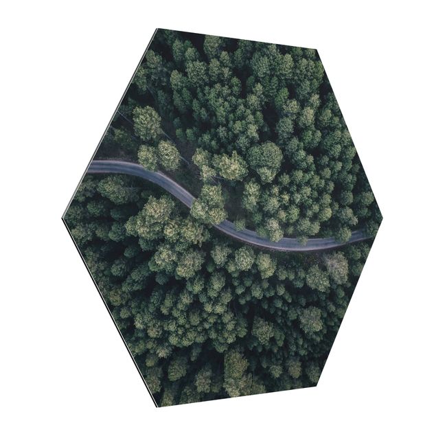 Hexagons Aluminium Dibond schilderijen Aerial View - Forest Road From The Top