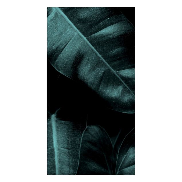 Duschrückwand - Dschungel Blätter Dunkelgrün