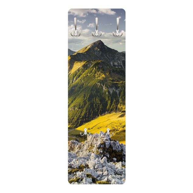Wandkapstokken houten paneel Mountains And Valley Of The Lechtal Alps In Tirol