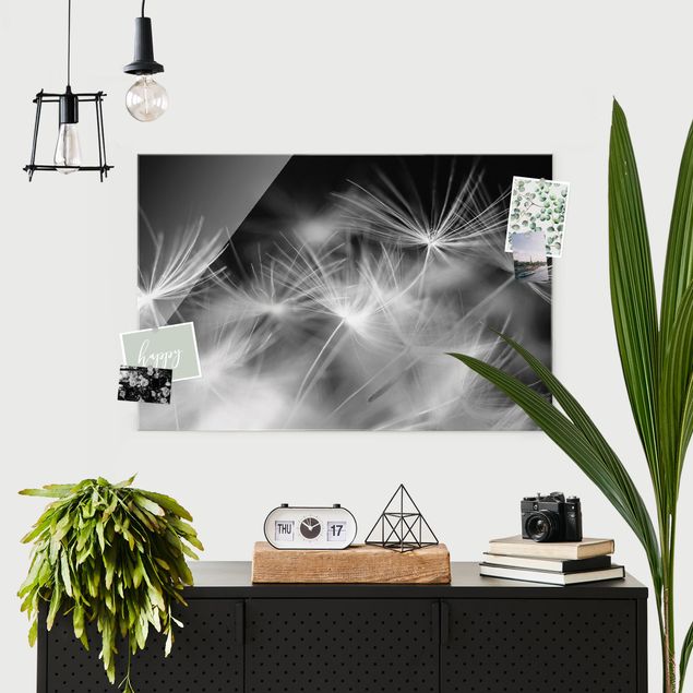 Glas Magnetboard Moving Dandelions Close Up On Black Background