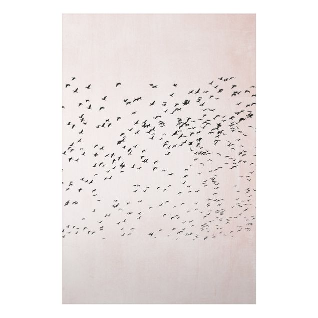 Aluminium Dibond schilderijen Flock Of Birds In The Sunset