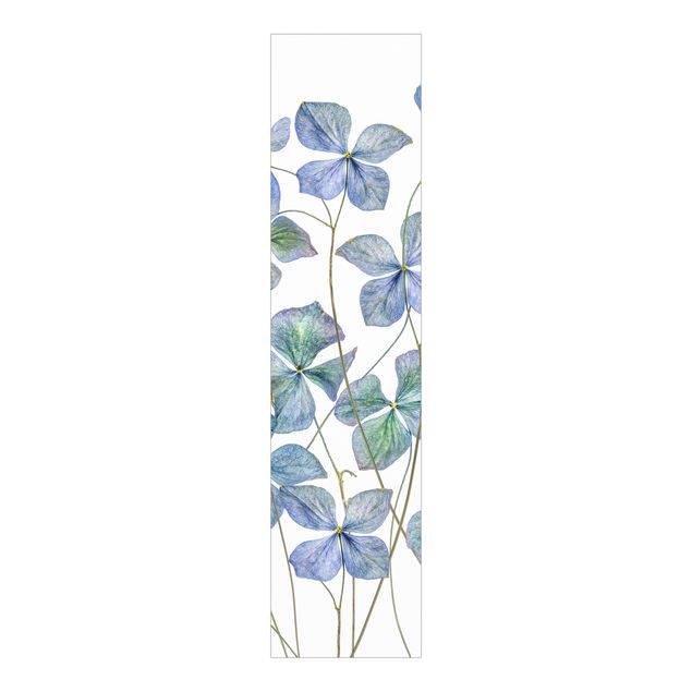 Schuifgordijnen Blue Hydrangea Flowers