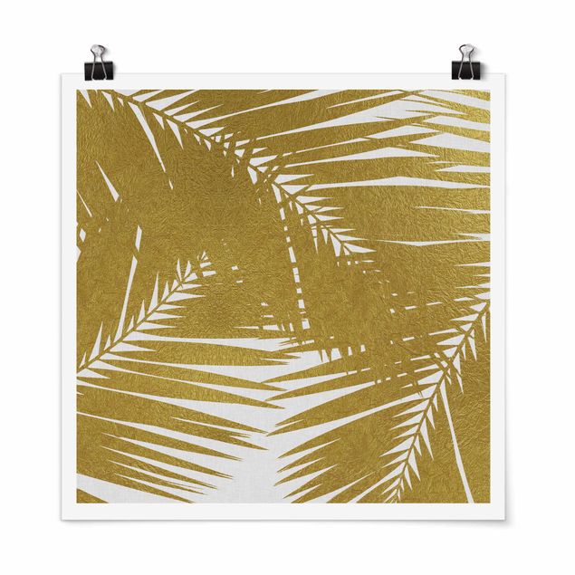 Posters View Through Golden Palm Leaves