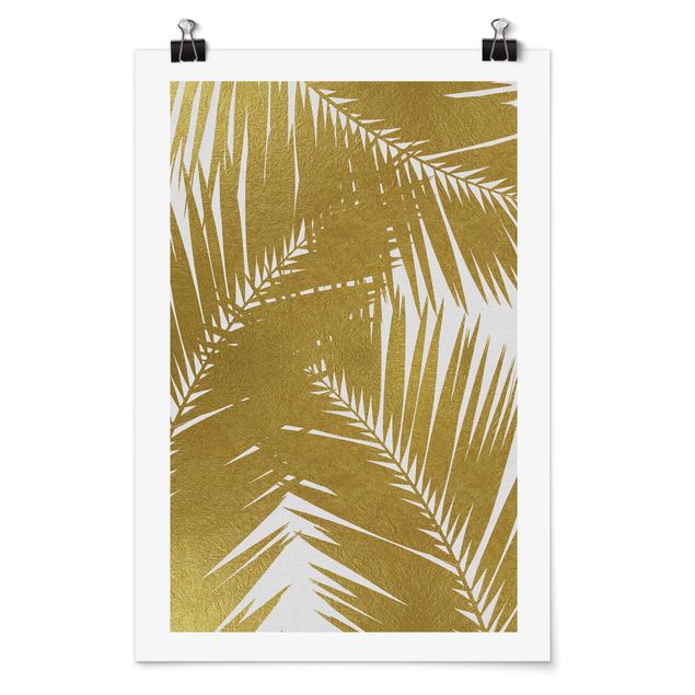 Posters View Through Golden Palm Leaves