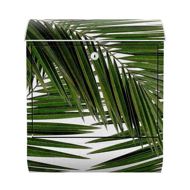 Brievenbussen View Through Green Palm Leaves