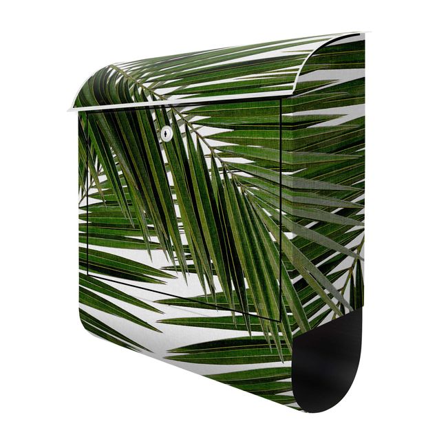 Brievenbussen View Through Green Palm Leaves
