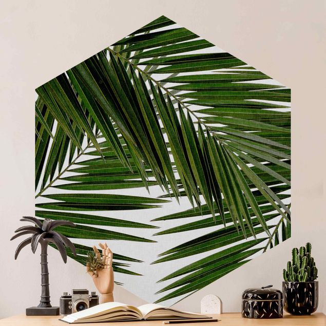 Hexagon Behang View Through Green Palm Leaves