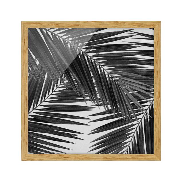 Ingelijste posters View Through Palm Leaves Black And White
