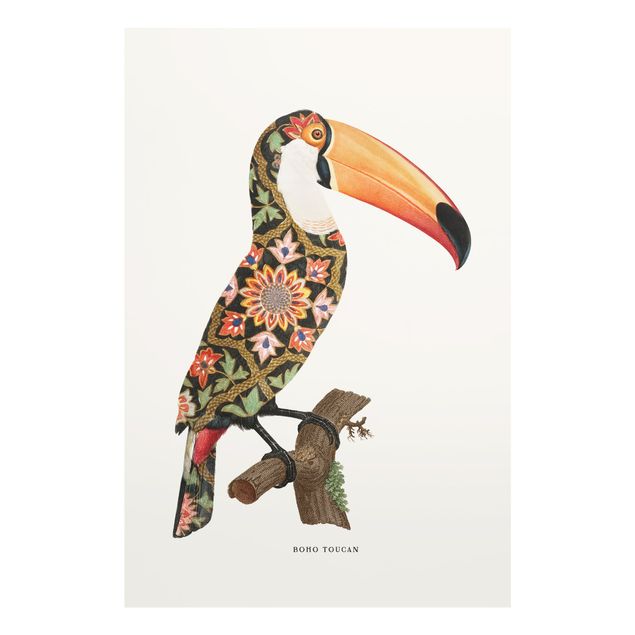 Glasschilderijen Boho Birds - Toucan
