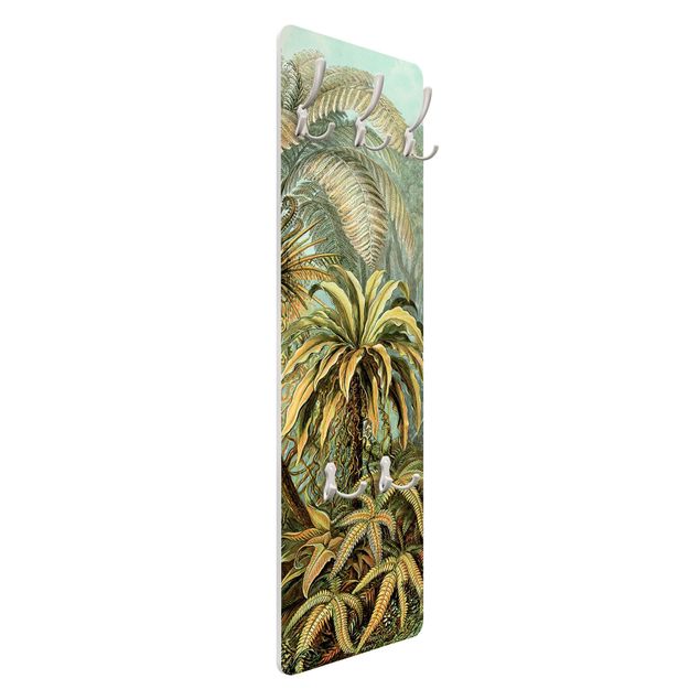 Wandkapstokken houten paneel Botany Vintage Illustration Leaves Ferns