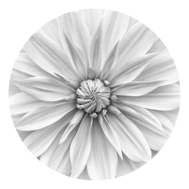 Behangcirkel Botanical Blossom In White