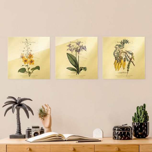 Glasschilderijen - 3-delig Botanical Table Set I